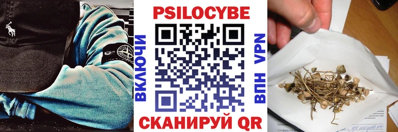 Купить где  Собинка  Псилоцибиновые грибы Psilocybe 